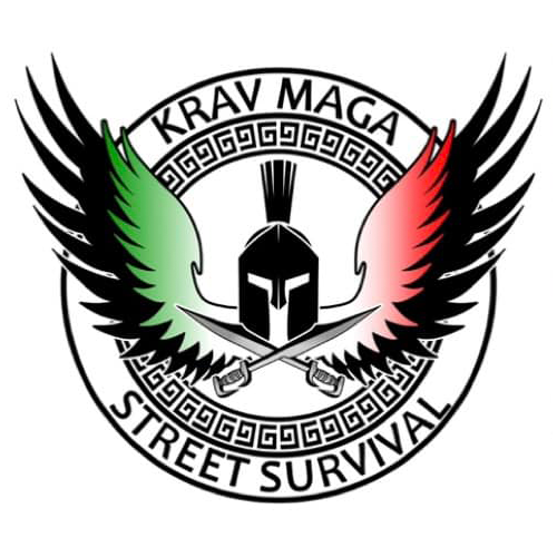Krav Maga Street Survival